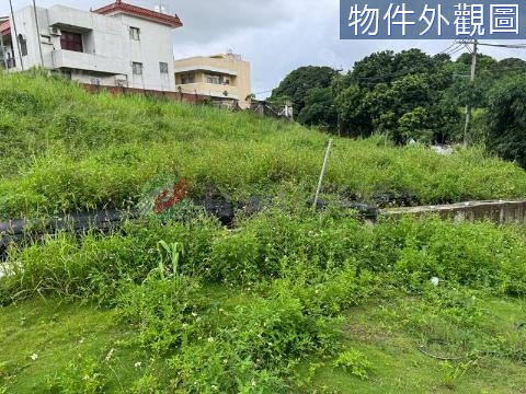 鳥松松埔路旁農地 高雄市鳥松區埔嶺段