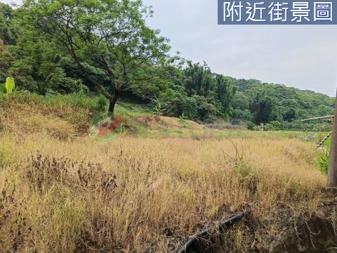 大溪瑞仁路一般農 桃園市大溪區瑞興段