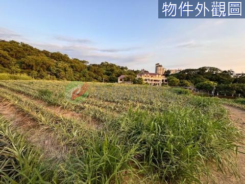 近鳥松國中超大面寬優質農地 高雄市鳥松區松埔段