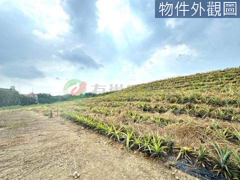 近鳥松國中｜松埔大面寬超值農地 高雄市鳥松區松埔段