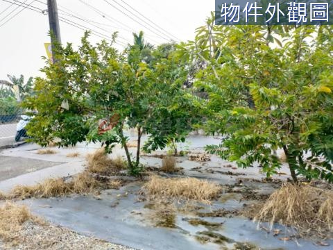 竹田大面寬都內農地 屏東縣竹田鄉頓物段