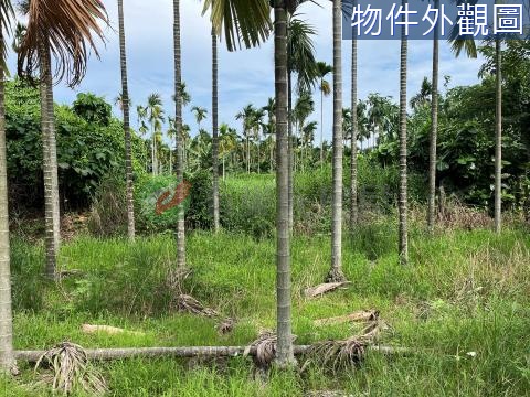 屏東鈔吉旺地★竹田都農 屏東縣竹田鄉頓物段