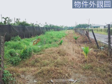 竹田分管農地 屏東縣竹田鄉新勢段