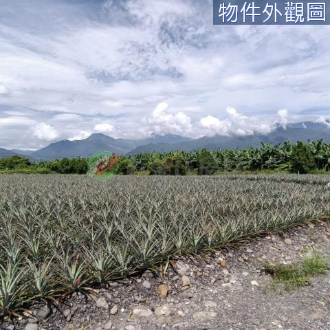 長治三角窗山景農地 地形方正 面寬好規劃 屏東縣長治鄉榮華段