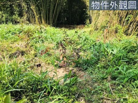 鴻禧山莊開心小農地2 桃園市大溪區信義段