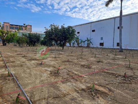 鳥松國中方正都計農地(L) 高雄市鳥松區松埔段