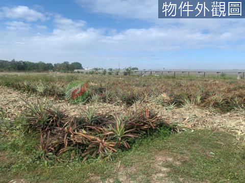 高樹泰和農地 地形漂亮 出租自用皆宜 屏東縣高樹鄉泰和段