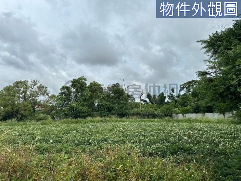 🌿🌿台中航空城清水海風段漂亮美農地🌿🌿 台中市清水區海風段