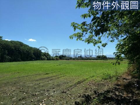 新化假日農夫開心農場 台南市新化區北勢段