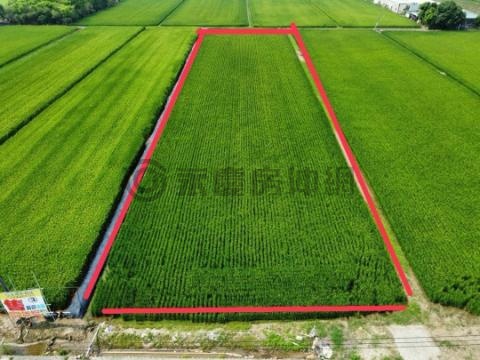 白河白嘉公路旁2分半農地 台南市白河區埤子頭段埤子頭小段