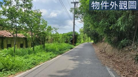 花壇彰員路旁山坡農地1.6甲 彰化縣花壇鄉白沙坑段