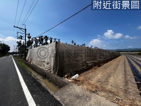 杉林 4.2分 臨路農地 高雄市杉林區月眉段二小段