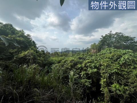 台中市霧峰農地 台中市霧峰區霧峰段霧峰小段