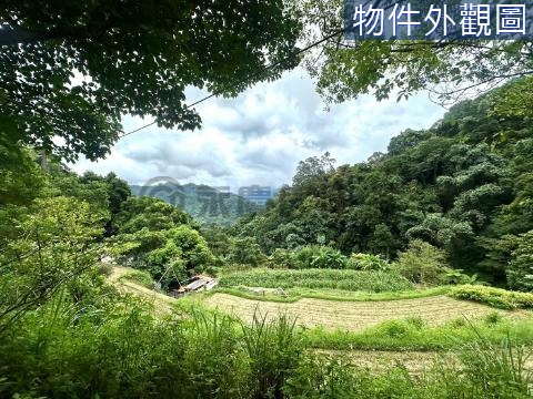 獨家-竹東燥樹排梯田式聚寶美農地 新竹縣竹東鎮燥樹排段