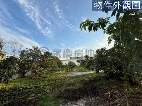 嘉興路上方正含水電美農地 雙面臨路 高雄市岡山區嘉興段