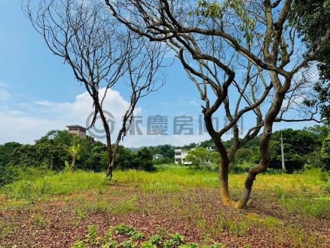 專約~橫山近台三線平坦農地 新竹縣橫山鄉沙坑貳段