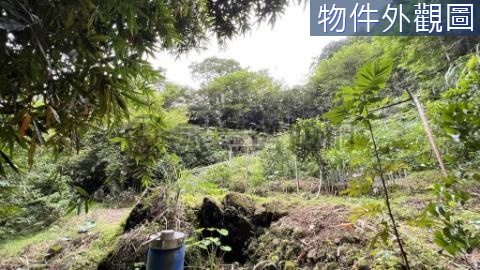 (吉)三峽成福段超便宜美農地A 新北市三峽區成福段成福小段