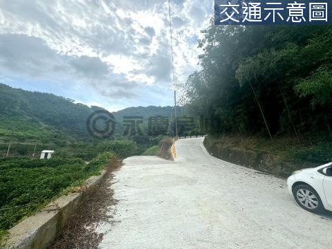 獨家大湖薑麻段台三線旁景觀農加丙建 苗栗縣大湖鄉薑麻段