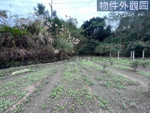 新竹近橫山國中千坪大地坪漂亮農場 新竹縣橫山鄉下大窩段