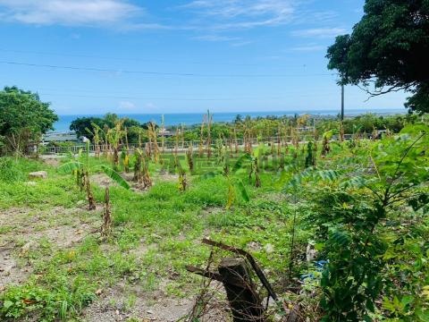 G98太麻里都計內海景農地 台東縣太麻里鄉北橋段