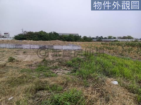 安南方正面寬222坪都農地 台南市安南區淵北段