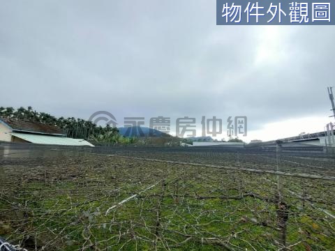 急售~近花海方正農地2-2 台中市新社區協中段