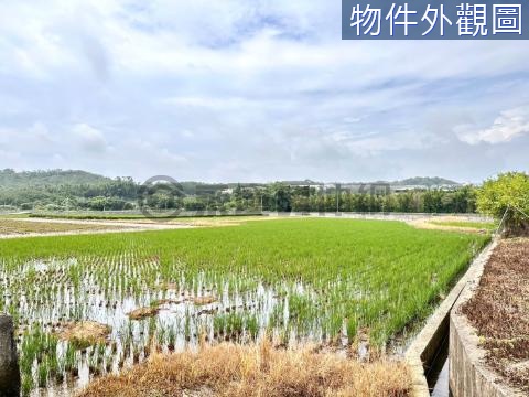 天仁茗茶旁南隘農地 新竹市新竹市見樂段