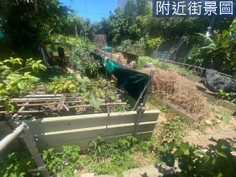 新豐前後臨路種菜田 新竹縣新豐鄉青埔子段