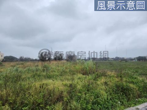 (吉)觀音雙面臨路一般農 桃園市觀音區育仁段