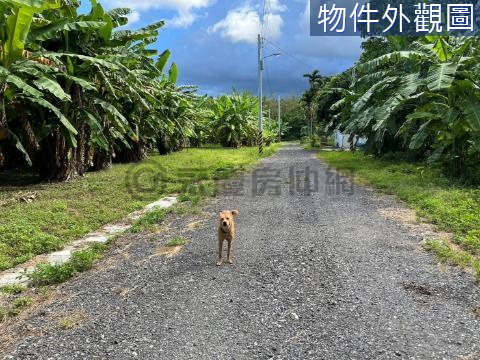 市區小坪數農地-近縣立棒球場運動及寵物公園 花蓮縣花蓮市四維段