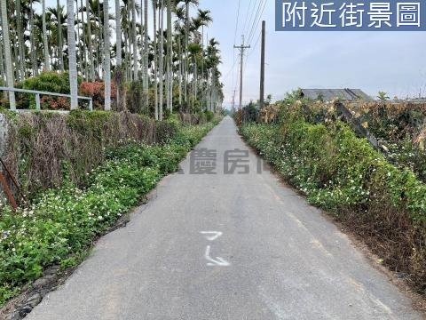 新社~花海雙面臨路檳榔園美農地 歡迎配件 台中市新社區大南段大南小段