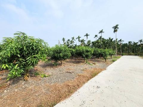 佳冬市區旁便利都農L｜近傳統市場鄉公所農會石光見 屏東縣佳冬鄉佳農段