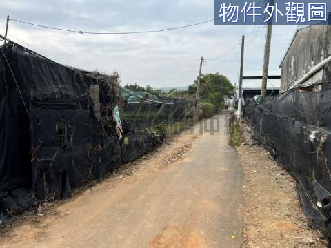 新社花海旁/近香菇街協中百合農地 台中市新社區協中段