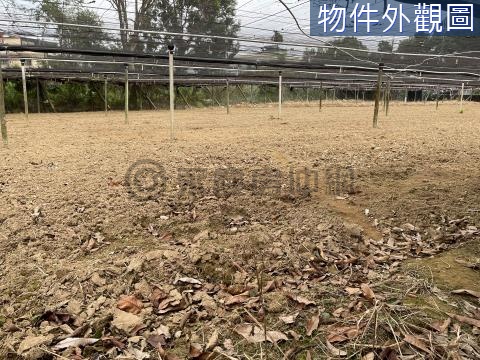 新社區復盛花海鄉村平坦農地 歡迎配件 台中市新社區新社段復盛小段