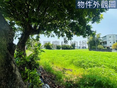 礁溪玉田方正靚美民宿林立433農牧用地 宜蘭縣礁溪鄉玉田段