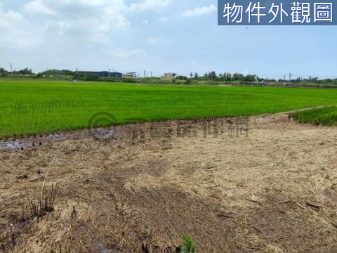 台中航空城~增值可期~區段徵收農地~秒殺A案 台中市清水區吳厝北段