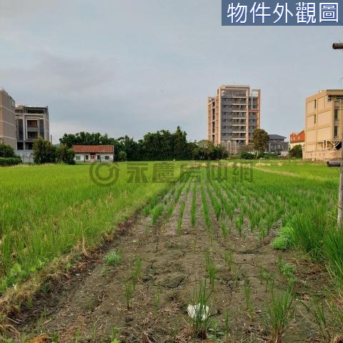 近大潤發商圈麻園段漂亮臨路農地 新竹縣竹北市麻園段