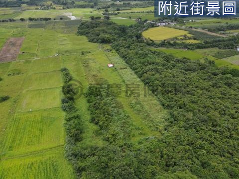 【專任】花蓮光復視野遼闊仟坪農地25F058 花蓮縣光復鄉阿托莫段