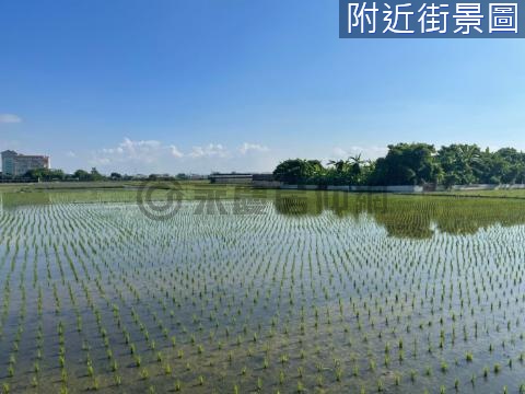 大村田洋都計內千坪美田.. 彰化縣大村鄉田洋巷