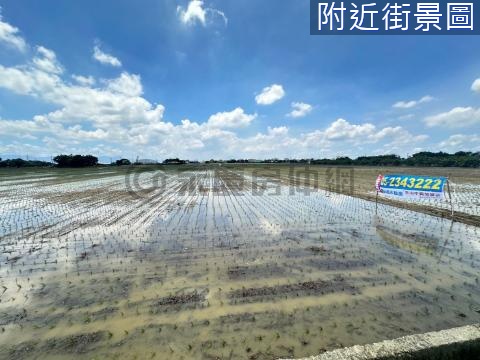 新港大地坪美農地 嘉義縣新港鄉西庄段西庄小段