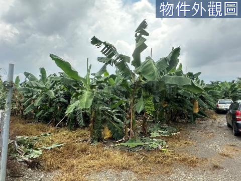 屏東縣/萬巒鄉/柑園段/優質農地 屏東縣萬巒鄉柑園段