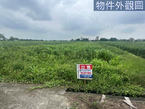 ②可農保將軍臨路8米方正農地 台南市將軍區將軍段一小段