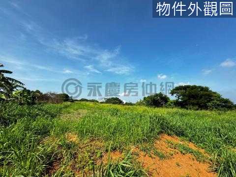 都計內吳厝北段航空城計畫無套繪美農地 台中市清水區吳厝北段