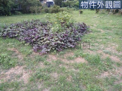 (持分)超便宜咬狗庄山坡地農地 雲林縣斗六市咬狗庄段