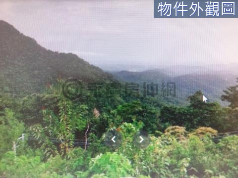 三峽大埔段992便宜林地 (出價就談) 新北市三峽區大埔段柑子樹腳小段