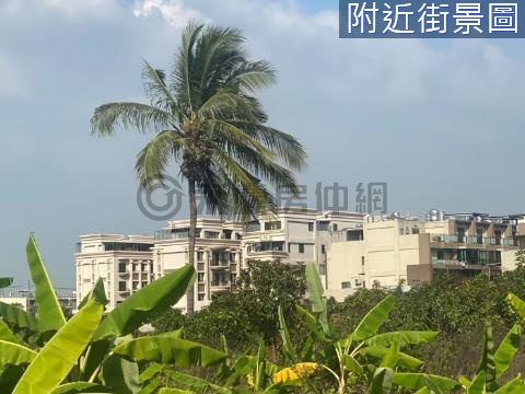 【仁武九番埤】高速公路兩側增值農地 高雄市仁武區善德段