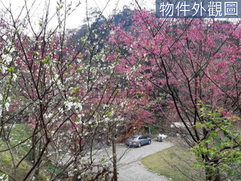 新竹雲頂四季景觀度假農地 新竹縣橫山鄉田寮段