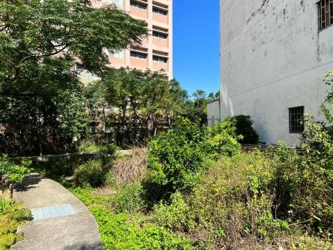 (綠547)近青埔、大江萬能商圈建地 桃園市中壢區內壢段