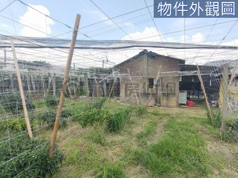 #新社花海旁農牧用地-有電有水 台中市新社區協中段
