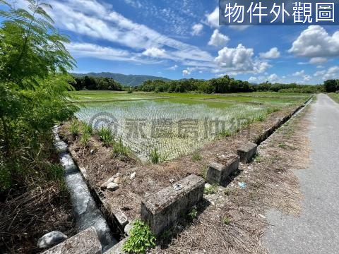 🌸 壽豐鄉雙面臨路臨溝方正平坦都內農地 花蓮縣壽豐鄉榮光段